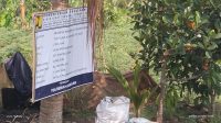 IMG_20260720_112652